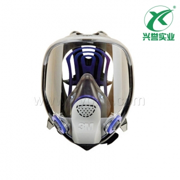 3M FF-401 硅胶全面型防护面罩(小号)