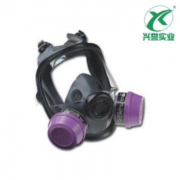 霍尼韦尔  54001S 双滤盒弹性橡胶全面罩