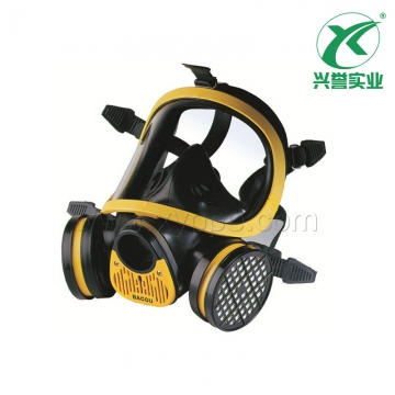 霍尼韦尔 1710641 全面罩