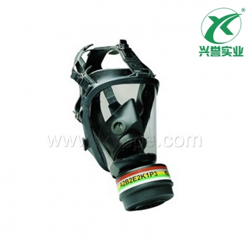 霍尼韦尔 1715001 硅胶全面罩