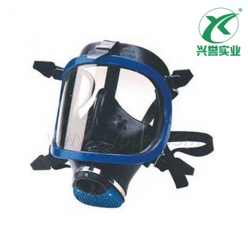 霍尼韦尔 1710643 蓝色全面罩