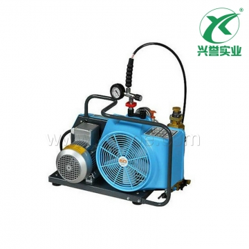 霍尼韦尔 BC057679 电动泵真空滤芯