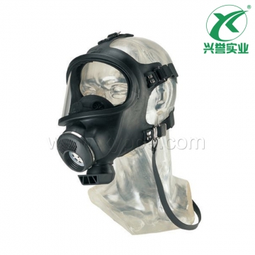 梅思安Auer 3S宽视野全面罩D2055000