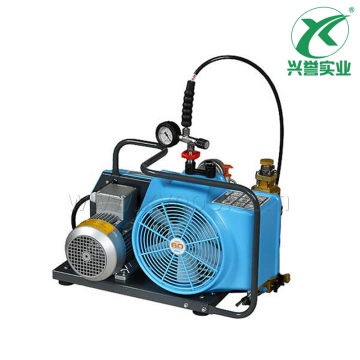 霍尼韦尔BC163099R-T 高压气瓶充气泵