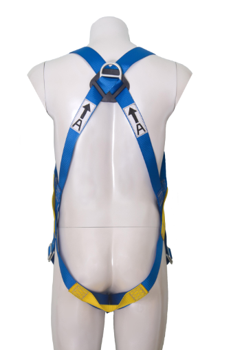 Capital凯比特 三点全身式安全带 1390000