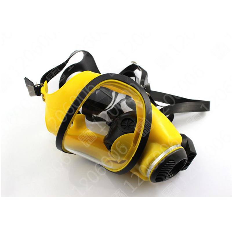 梅思安D2055718 Auer 3S宽视野全面罩