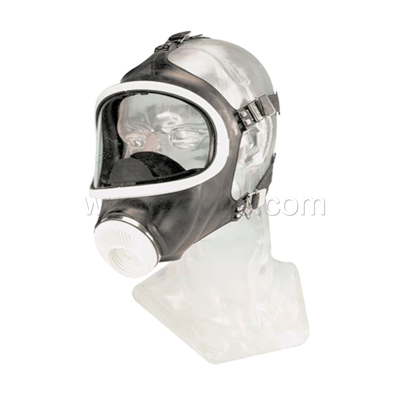 梅思安 D2055000-CN 宽视野全面罩 Auer 3S