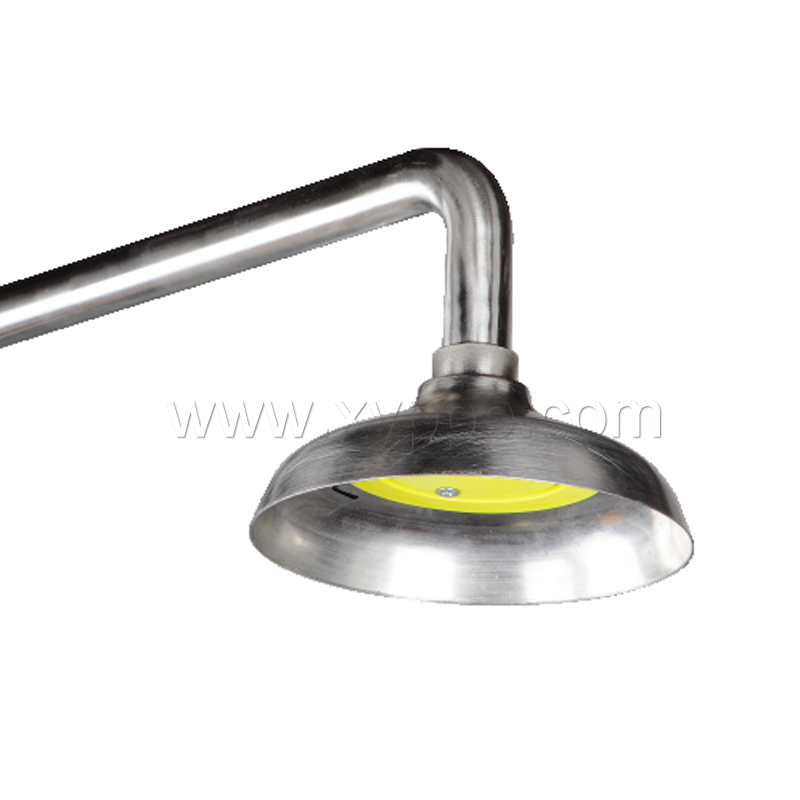 西斯贝尔SYSBEL WG7053F不锈钢复合式洗眼器